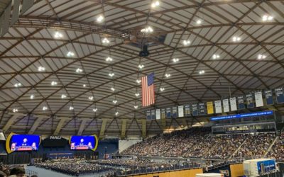 As Advertised! It is a dome in