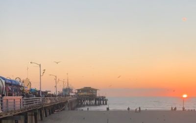 I close my eyes Only for a moment, and the moment's gone All my dreams Pass before my eyes, a curiosity Dust in the wind All they are is dust in the wind