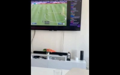 Whoop whoop . . . . .